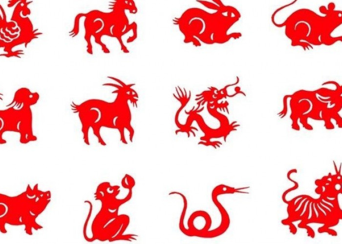 Ramalan Shio Besok Jumat 23 Januari 2026: Shio Kuda, Naga, dan Ular 