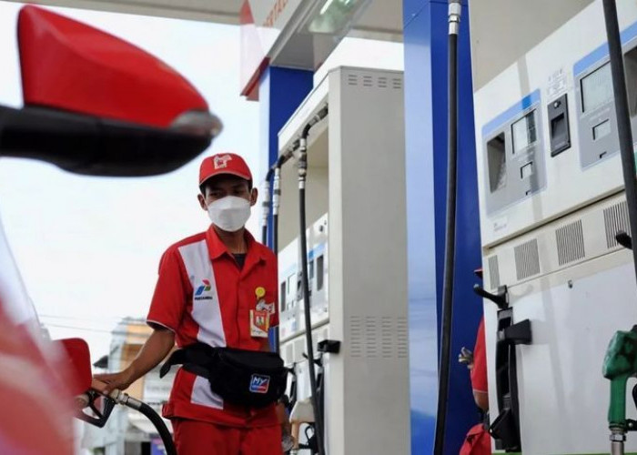 Daftar Mobil yang Bisa Pakai Solar Subsidi Terbaru 2026, Cek Aturannya!