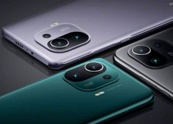 Rekomendasi HP Xiaomi Terbaru di Berbagai Kelas: Dari Kaum Mendang-Mending Hingga Sultan!