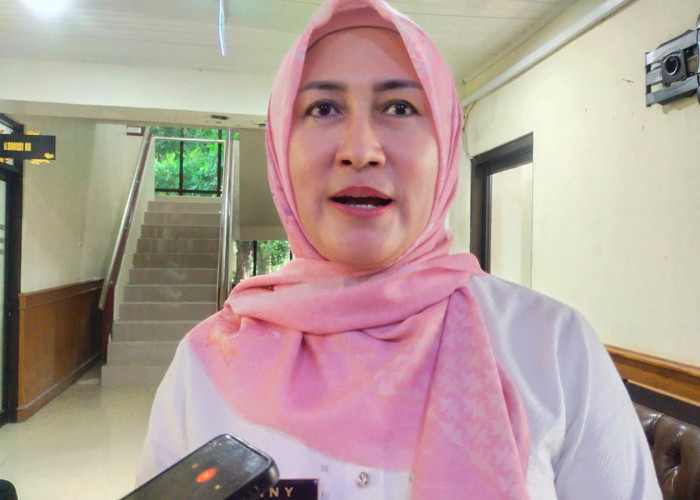 Penonaktifan Peserta BPJS oleh Pusat Pengaruhi Kepesertaan Jamkesda