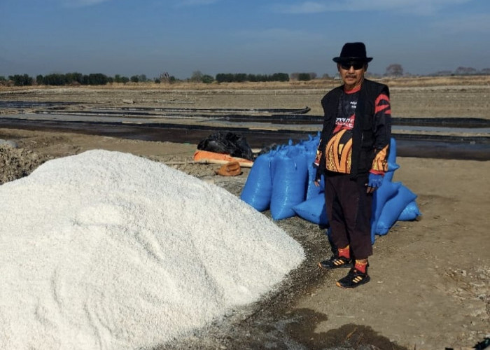 Petani Garam di Cirebon Merugi, Stok Melimpah, Dijual Murah 