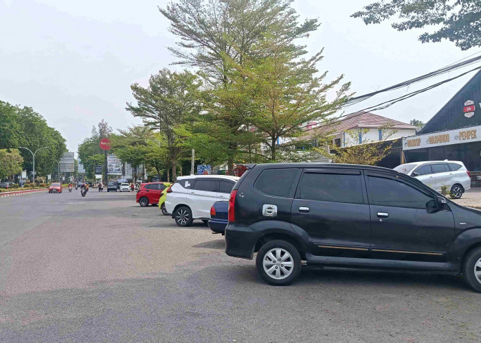 Dishub Survey Potensi Parkir, Semua Titik Disasar