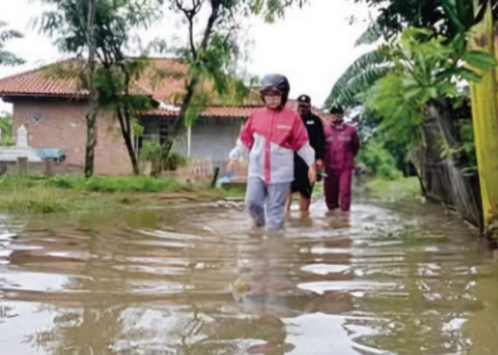 Banjir Terjang Desa Brondong di Indramayu, 428 Rumah Jadi Korban