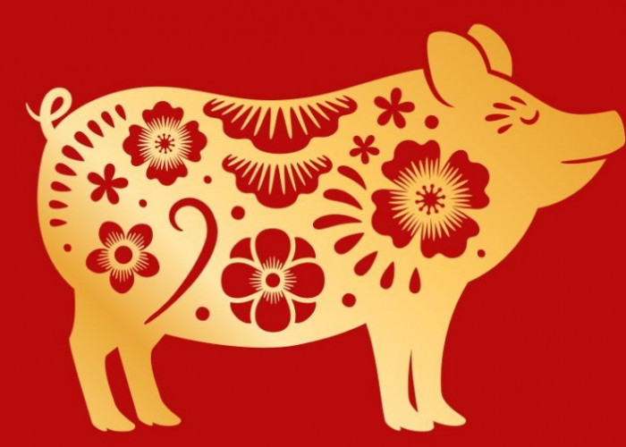 Peruntungan Shio Babi di Tahun Kuda Api 2026, Keuangan dan Percintaan 