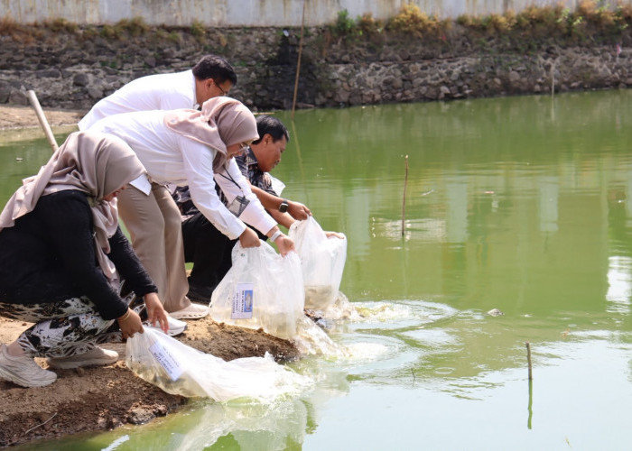 Edo Tinjau Budidaya Ikan, Aset Daerah Disiapkan Dukung PAD dan Penanganan Stunting