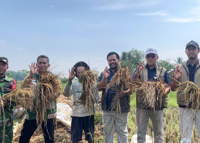 Perkuat Dukungan Bagi Petani, Bulog Jawa Barat Lampaui 100% Target Pengadaan Setara Beras 2026