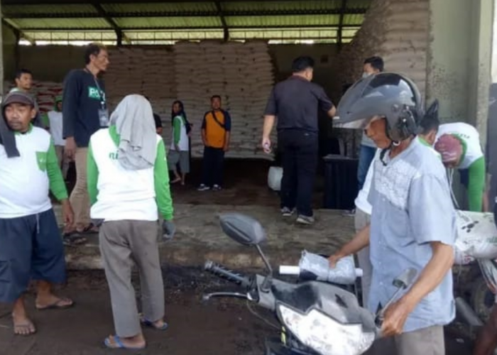 Kuota Pupuk untuk Kabupaten Majalengka Berkurang hingga 24 Ribu Ton, Tidak Sesuai RDKK Dinas