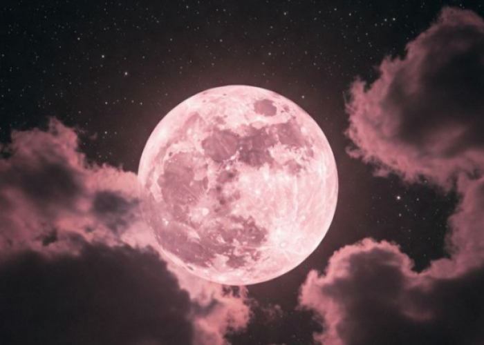 Fenomena Langit 1-2 April 2026: Ini Waktu Terbaik Menyaksikan Fenomena Pink Moon