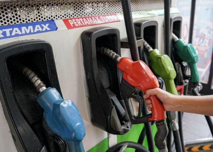 Perbandingan Harga Pertamax vs Pertalite Hari Ini: Mana yang Jadi Pilihan Banyak Orang?