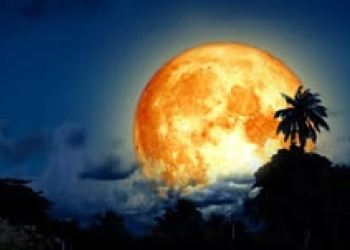 Fakta Menarik Purnama Buck Moon yang Wajib Kamu Tahu