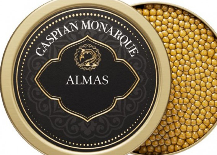 7 Bahan Makanan Termahal di Dunia : Apakah Kamu Mau Mencobanya?