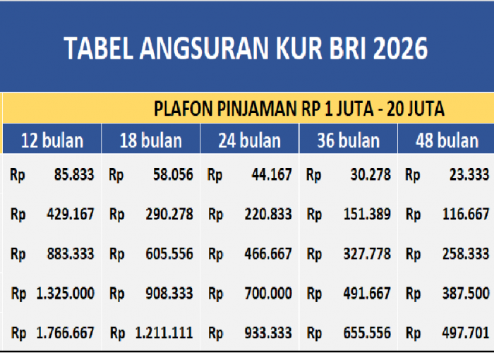 Cicilan Ramah Rp 20 ribuan per Bulan, Tenor 5 Tahun, Tabel Angsuran KUR BRI 2026 Rp 1 Juta hingga Rp 20 Juta