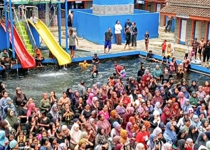 Fakta! Ikan Dewa di Cibulan Sangat Sehat, Ini Cara Manajemen Rawat Populasi Ikan