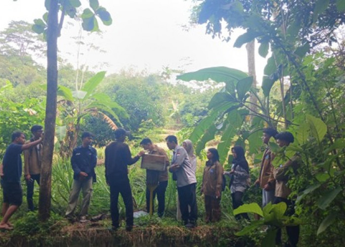 Pendampingan Prisma 3.0 Mahasiswa Poltek SCI Bersama Petani Lebah Trigona di Panambangan