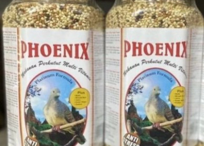 5 Pakan Perkutut yang Bagus untuk Kesehatan dan Stamina Perkutut 