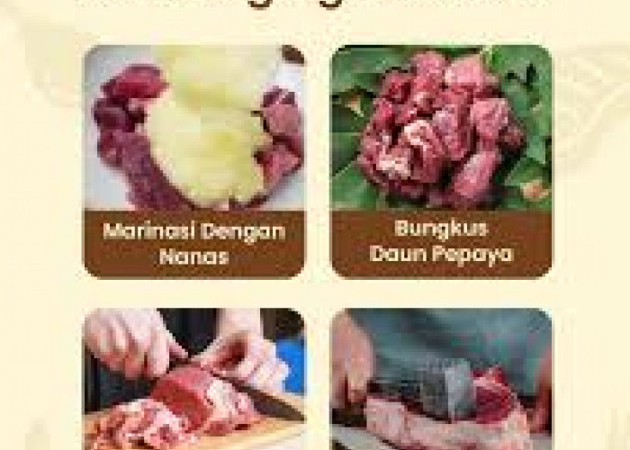 Ibu-Ibu Wajib Tahu! Cara Memasak Daging Sapi Kurban Biar Cepat Empuk Tanpa Presto