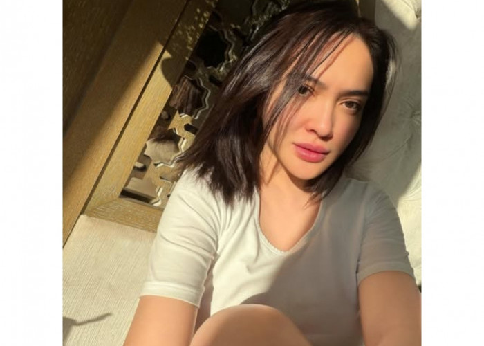 Shandy Aulia dan Mantan Suami Jadi Sorotan, Ternyata karena Hal Ini