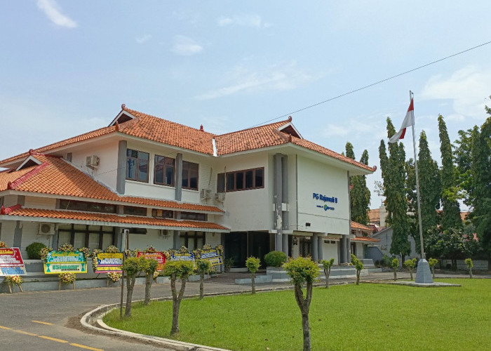 Minat Petani Tanam Tebu Meningkat, PG Rajawali II Siap Tampung Hasil Panen