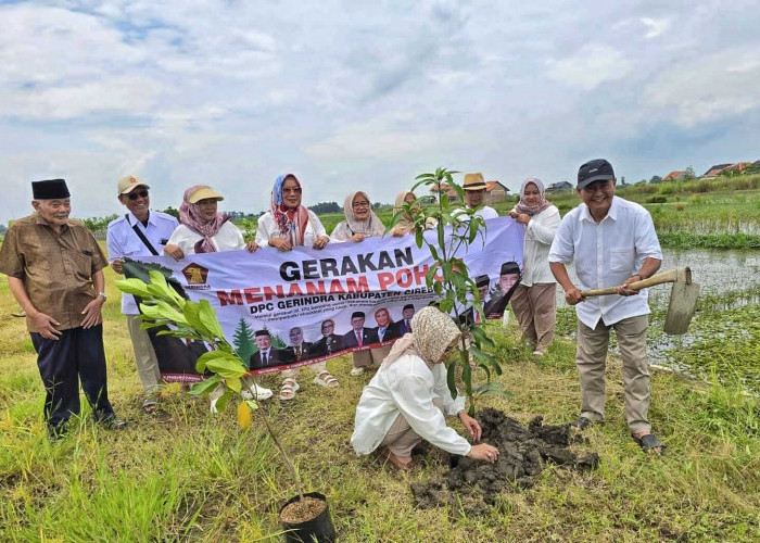 Tanam 200 Pohon di Losari, Gerindra Cirebon Tunjukkan Politik Hijau Lewat Aksi Nyata