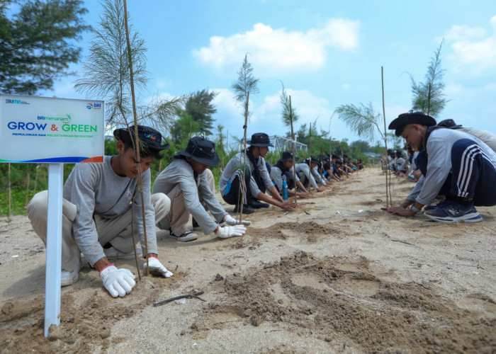 Peringati Hari Lingkungan Hidup Sedunia, BRI Pertegas Komitmen dalam Menjaga Ekosistem Lingkungan 