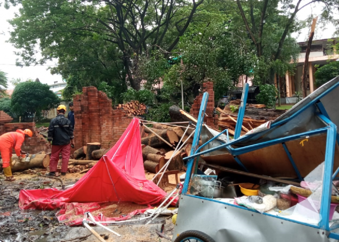 Pohon Besar Timpa Pasutri di Area Gedung Kesenian Rarasantang Kota Cirebon