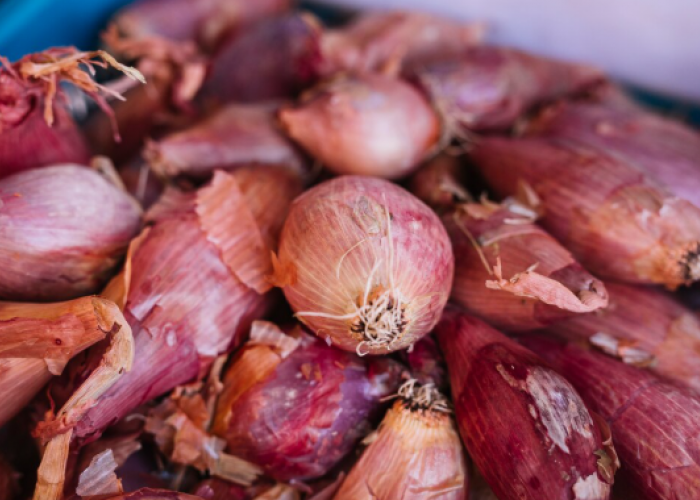 Update Harga Bahan Pangan Hari Ini Rabu, 04 Februari 2026. Bawang Merah, Cabai Rawit Hingga Daging Sapi