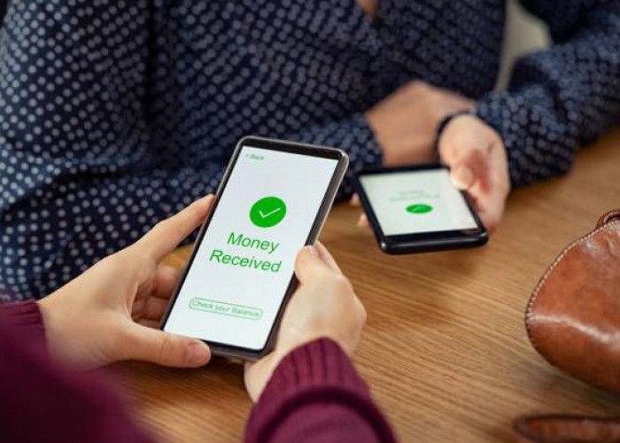 Review Aplikasi Bank Digital Viral Dari Kelebihan Hingga Risikonya