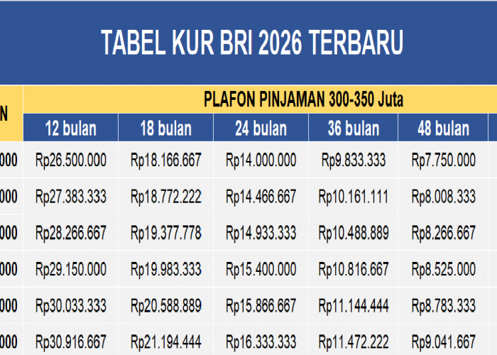 Tabel Angsuran KUR BRI: Pinjaman 300-350 Juta, Simak Syarat Pengajuan dan Cicilan