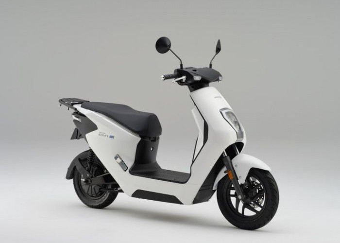 Rekomendasi Motor Listrik Murah Subsidi Pemerintah Paling Awet