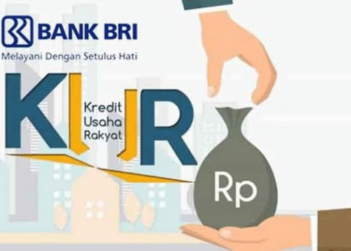 Cara Mendapatkan Bunga KUR BRI 2026 Sebesar 3% untuk UMKM Pemula