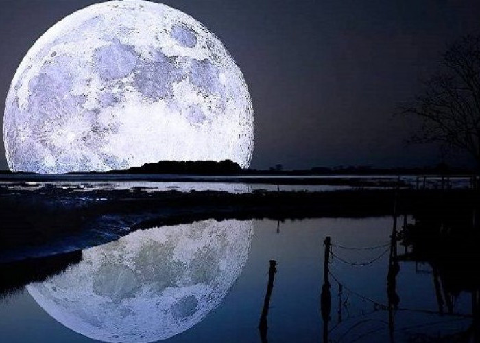 Ibadah di Bulan Sya'ban dan Keutamaannya : Sebelum Menyambut Bulan Ramadhan 