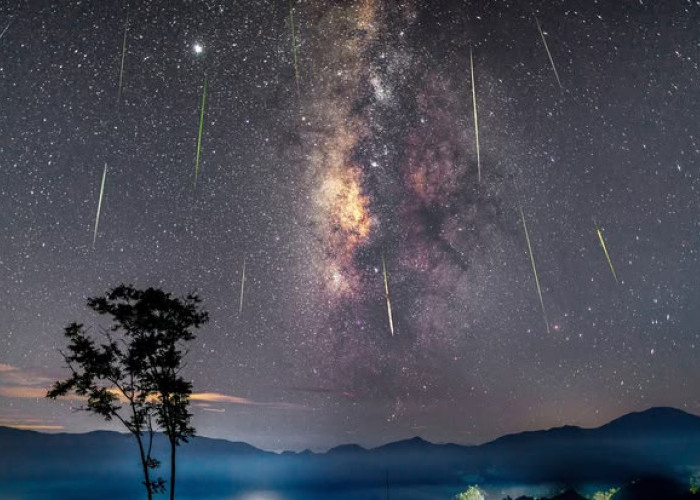 Daftar Puncak Hujan Meteor yang Bisa Diamati dari Indonesia