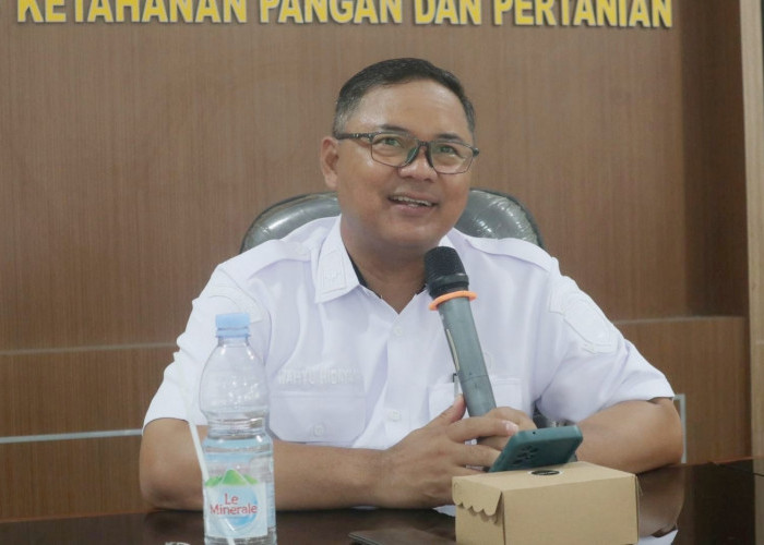 Perkuat Jalur GKP 2026, Sinergis Bulog-Diskatan Gencarkan Skema Jemput Gabah 