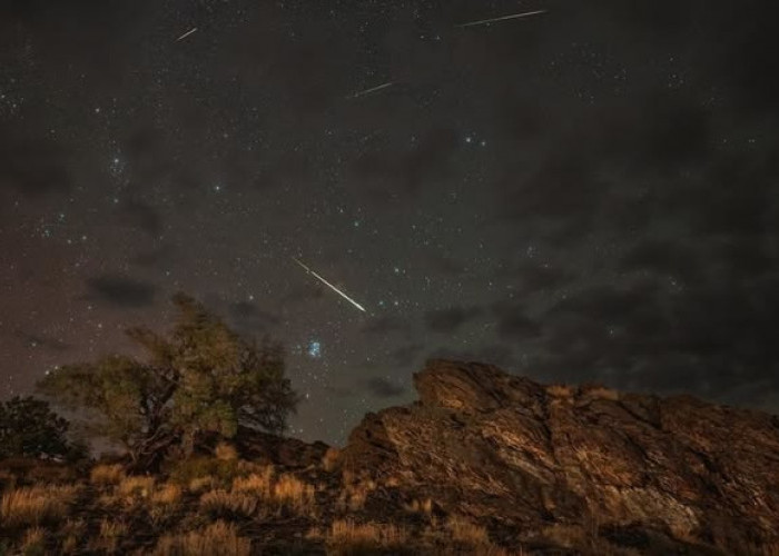 Apa Itu Hujan Meteor Perseid? Mengenal Asal-Usul dan Alasan Menjadi Fenomena Tahunan