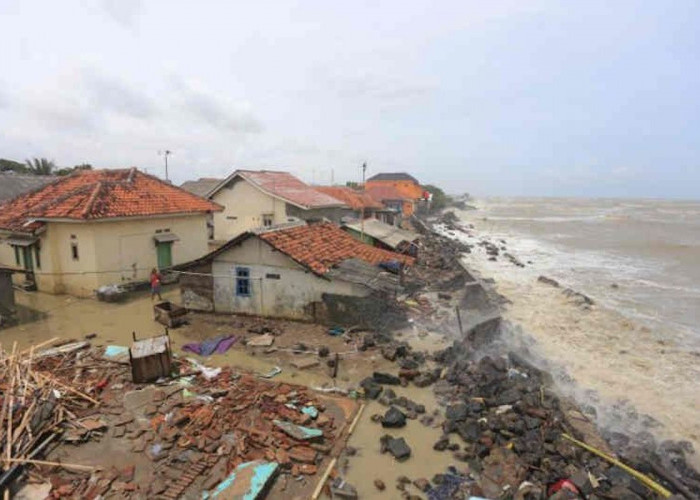 21 Rumah di Kandanghaur Dihantam Gelombang Pasang, Kali Ini Terparah