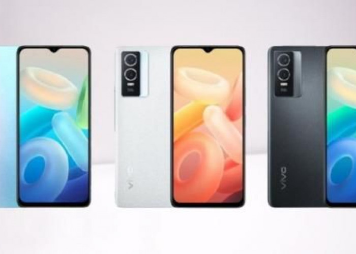 Pilihan Vivo Y-Series Terbaik 2025: Mana yang Paling Worth It?