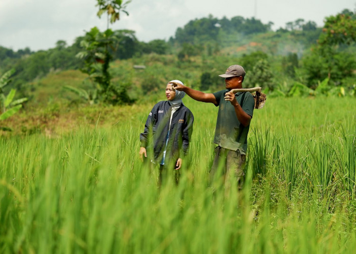 BRI Salurkan KUR Rp27,72 Triliun dalam 2 Bulan, Bukti Keberpihakan Nyata untuk UMKM dan Ekonomi Rakyat