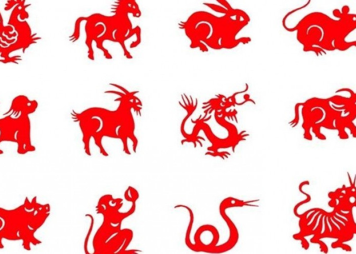 5 Shio yang Diramalkan Menikah Pada Tahun Kuda Api 2026, Apakah Ada Punyamu ?