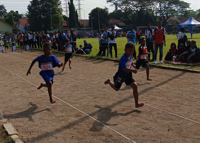 Persaingan di Tingkat SMA dan SD Merata, SMPN 1 Beber Mendominasi Invitasi Atletik Pelajar 2026