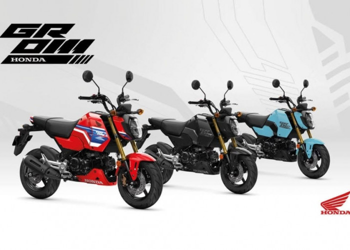 Resmi Meluncur di Jepang, Honda Grom 2026 Kini Punya Tampang Balap dengan Under Cowl Standar Pabrik