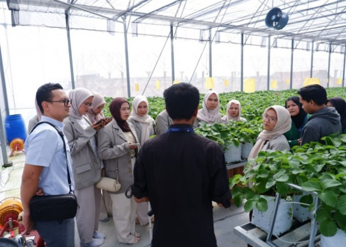 Mahasiswa Tadris Kimia UIN Siber Cirebon Integrasikan Enam Mata Kuliah dalam Kunjungan Industri ke Bandung