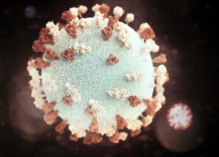 Tanda-Tanda Terinfeksi Virus Hanta dan Bedanya dengan Flu Biasa
