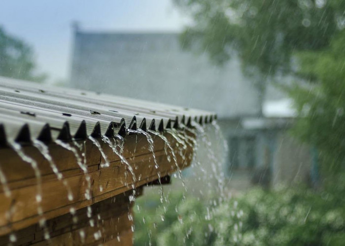 Musim Hujan Terus, Ini 7 Tips Cegah Rumah Lembap dan Jaga Imunitas agar Tidak Mudah Sakit