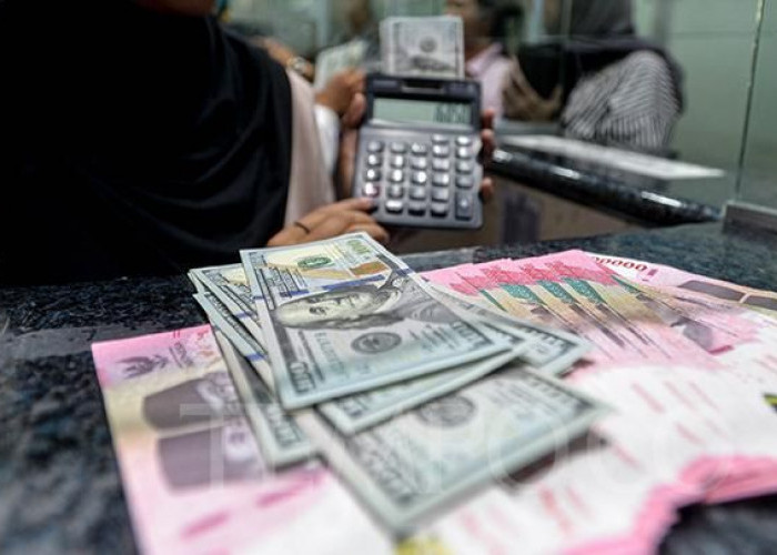 Mengapa Nilai Tukar Rupiah Sering Berubah? Ini Penjelasan Sederhananya Bagi Pemula