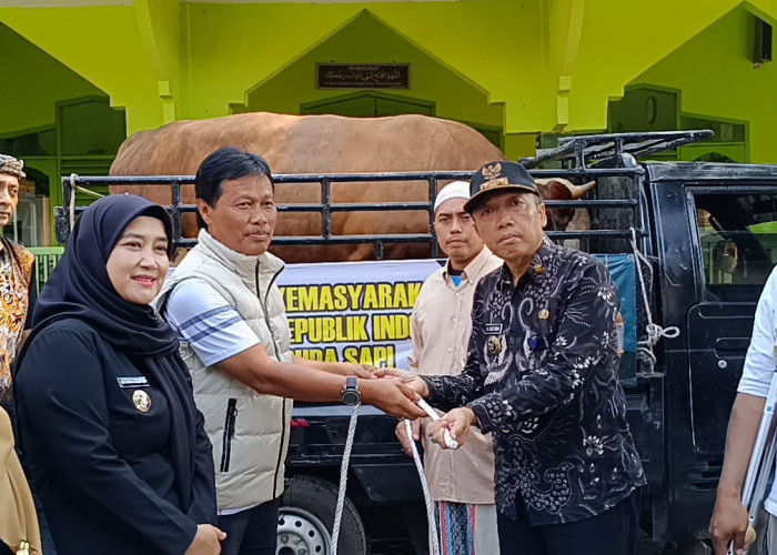 Walikota dan Wakil Walikota Cirebon Serahkan Sapi Presiden ke Warga Kelurahan Kalijaga Kota Cirebon