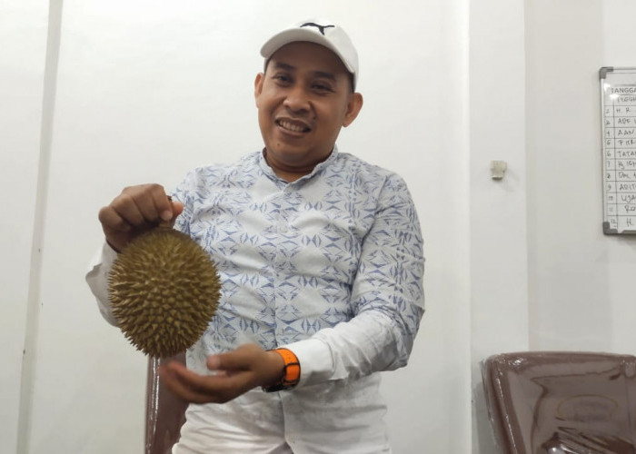 Anggota Dewan Cirebon Jajal Bisnis Durian, Raih Keuntungan Menawan