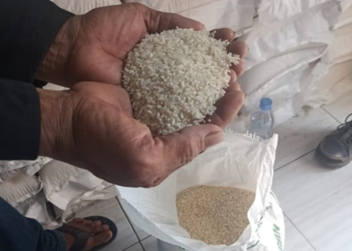 Bulog Cirebon Respon Cepat Keluhan Mutu Beras Bantuan Pangan