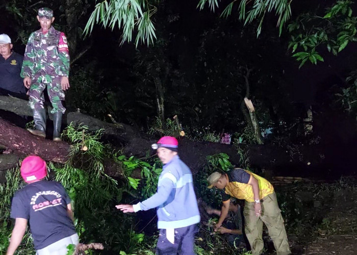 Diterjang Hujan dan Angin, Rumah Warga di Desa Kerandon Kabupaten Cirebon Tertimpa Pohon
