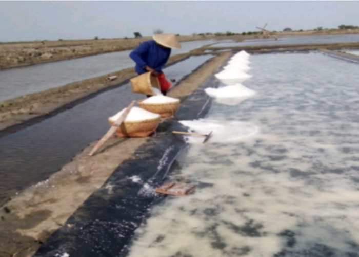 Penguatan Industri Garam Ciayumajakuning sebagai Penggerak Perekonomian Masyarakat Pesisir