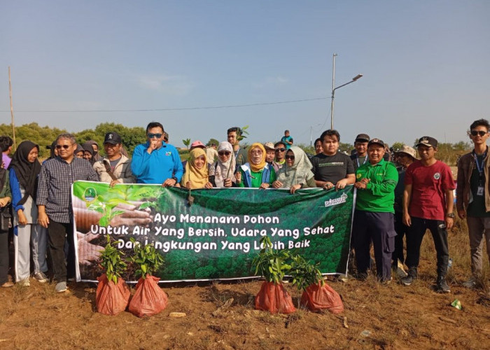 Aksi Tanam Mangrove KKN UIN Siber Syekh Nurjati Cirebon Usung Tema Satu Mangrove Sejuta Manfaat